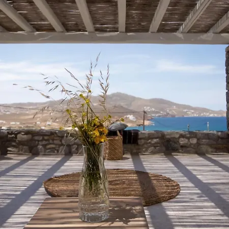Seaview Pool Near Alemagou Villa Ftelia (Mykonos)